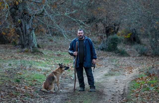 Beasts of different species: Ménochet and dog haunt the forests in "As Bestas" / Photo courtesy of Latido Films, Greenwich Entertainment & Curzon