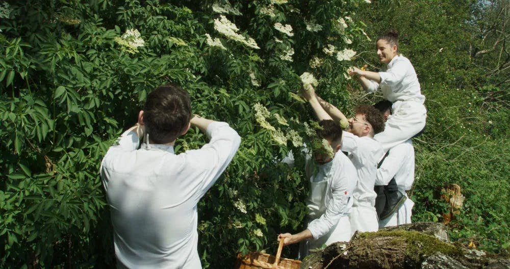 In bloom: the kitchen staff picks fresh elderflowers to cook in "Menus-Plaisirs-Les Troigros." / Film still courtesy of Zipporah Films, Inc.