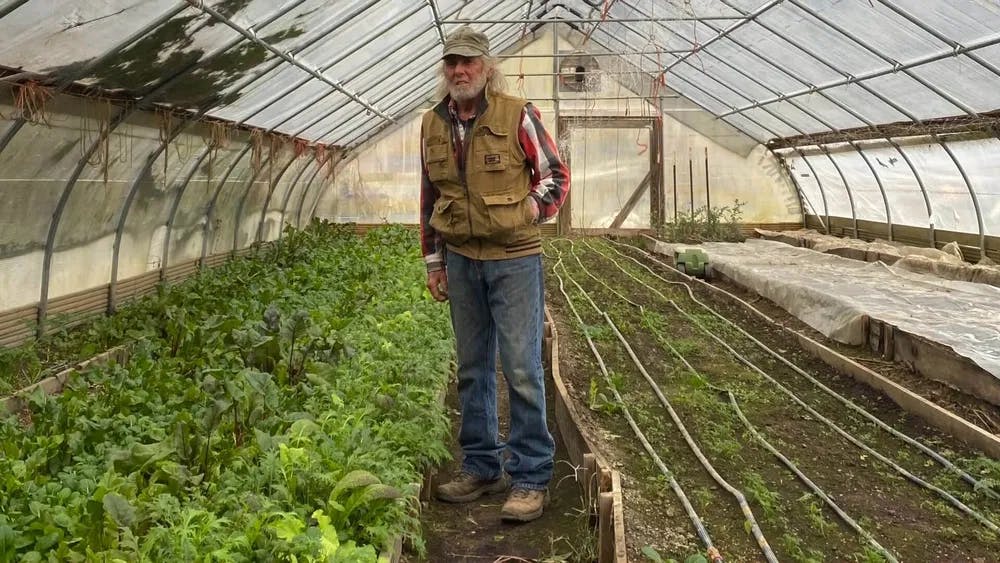 Greenhouse effect: portrait of an environmentalist by trade in "Michael Malone, Portrait of An American Organic Farmer" / Photo courtesy of Ten-In-One Productions.