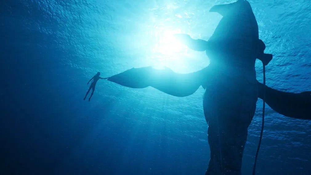 Avatar The Way of Water: a whale of a cultural footprint? / Photo courtesy of 20th Century Fox