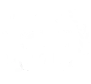Orlando_festival