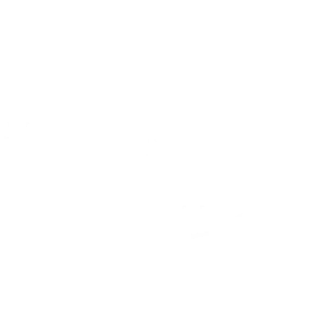 Auckland_International_Film